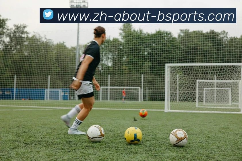 B体育平台生态图