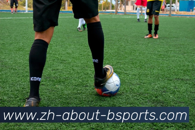 B体育APP 封面图